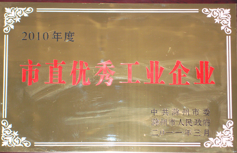 市直優(you)秀工業(ye)企業